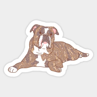 Brindle Bulldog Sticker